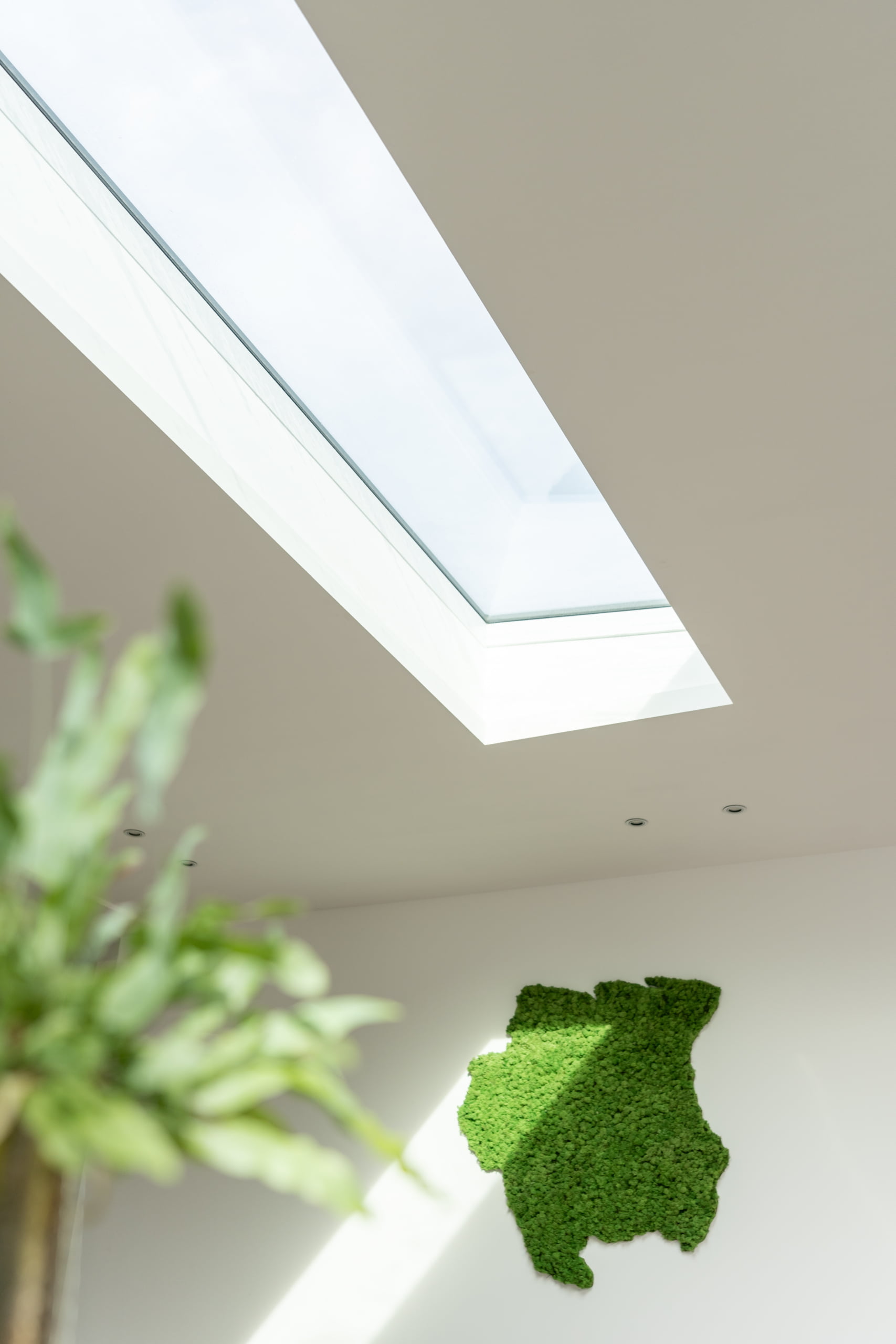 Wat kost een lichtstraat