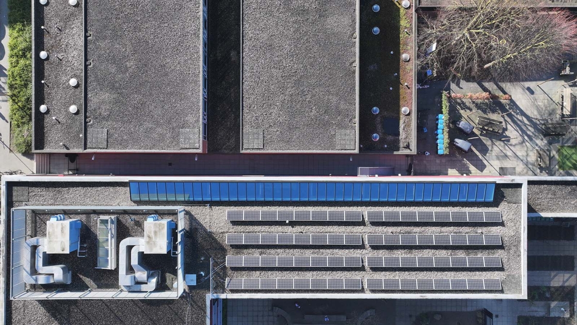 Lichtstraat renovatie in schoolpand