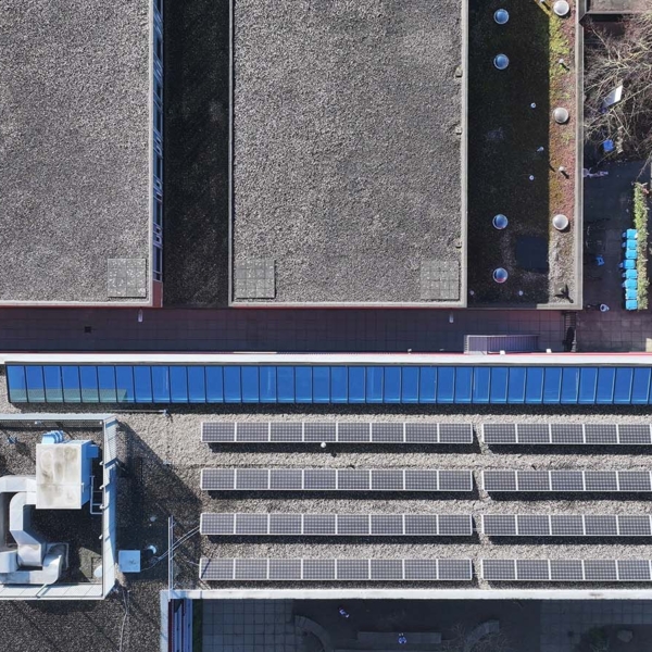 Lichtstraat renovatie in schoolpand